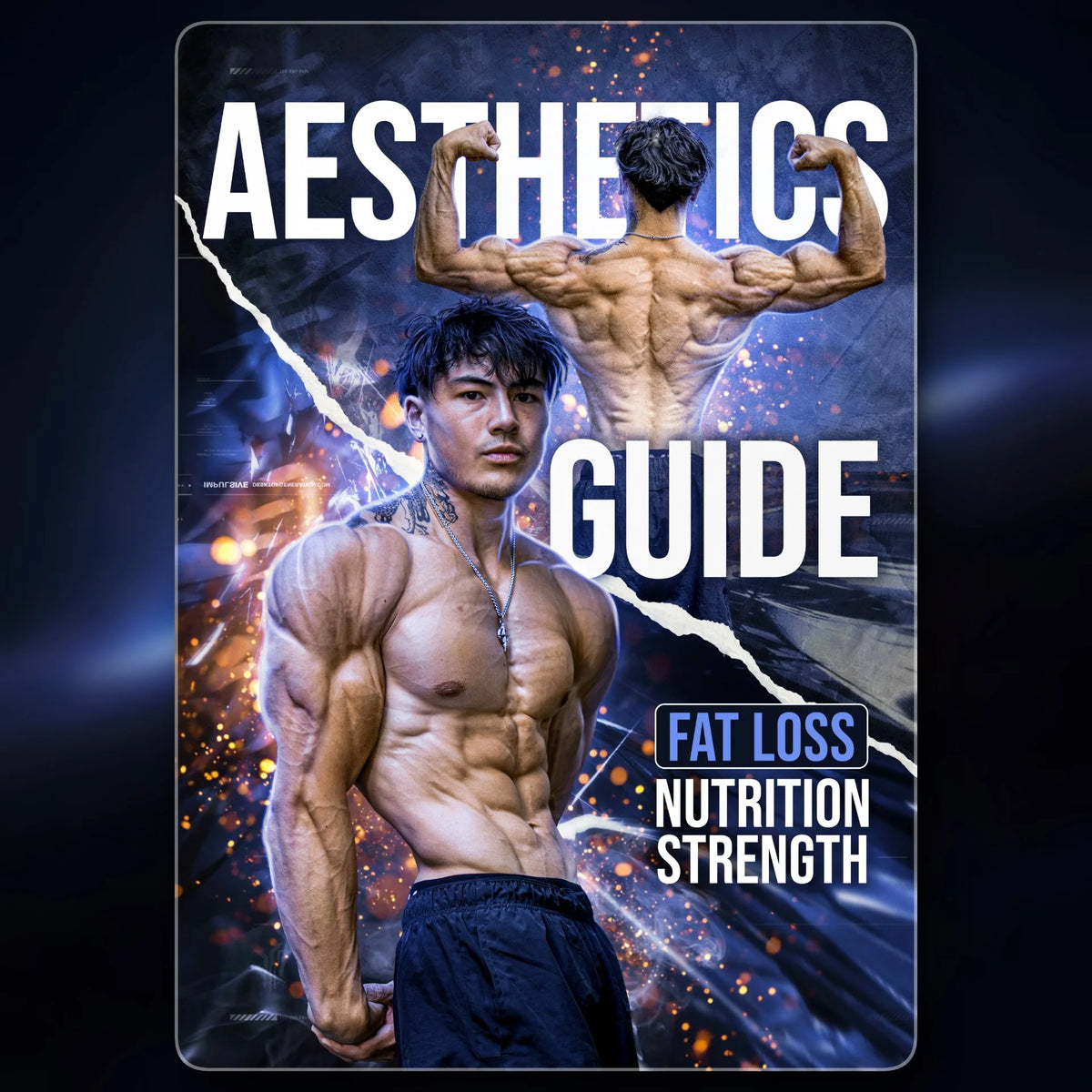 Aesthetics Guide – Fat Loss & Nutrition (Guide + Annex)